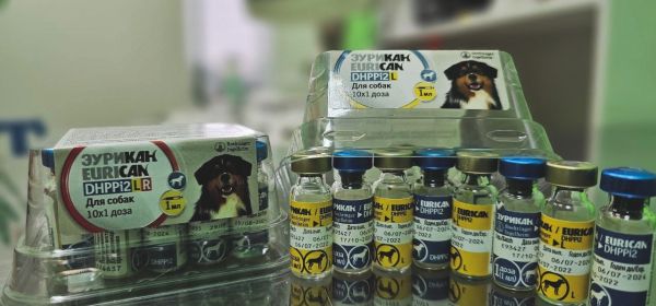 Всеми известная и любимая вакцина  для собак «Эурикан DHPPI + LR» и «Эурикан DHPPI + L" снова в наличии во всей сети клиник "ИМВЕТ"